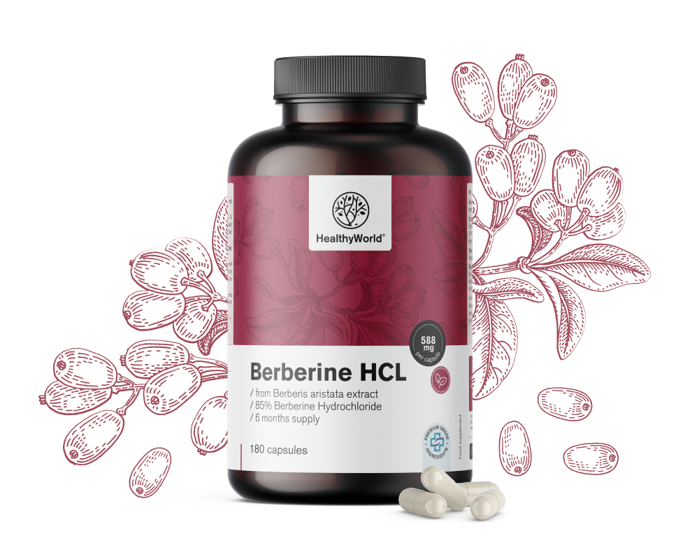 Berbérine HCL 500 Mg, 180 Gélules - HealthyWorld.fr