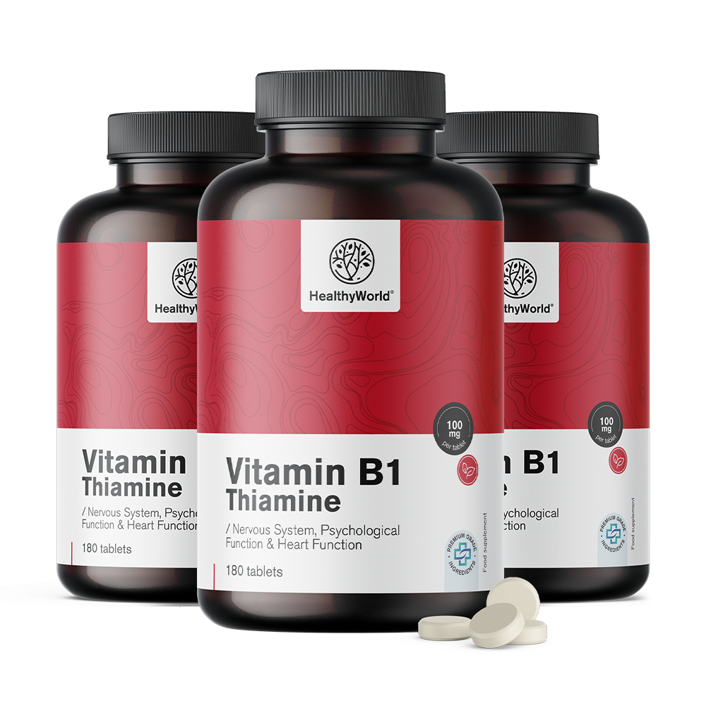 Vitamine B1 - thiamine 100 mg