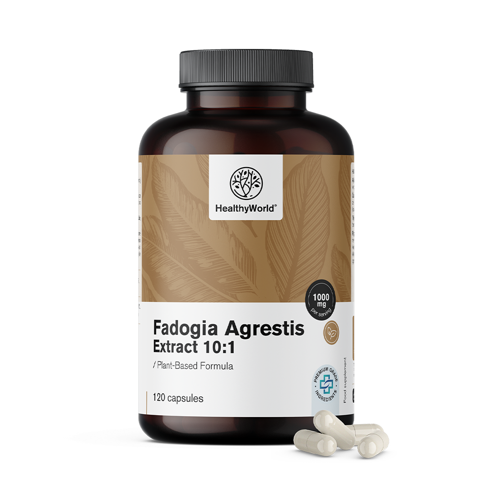 Fadogia Agrestis 1000 mg en capsules.