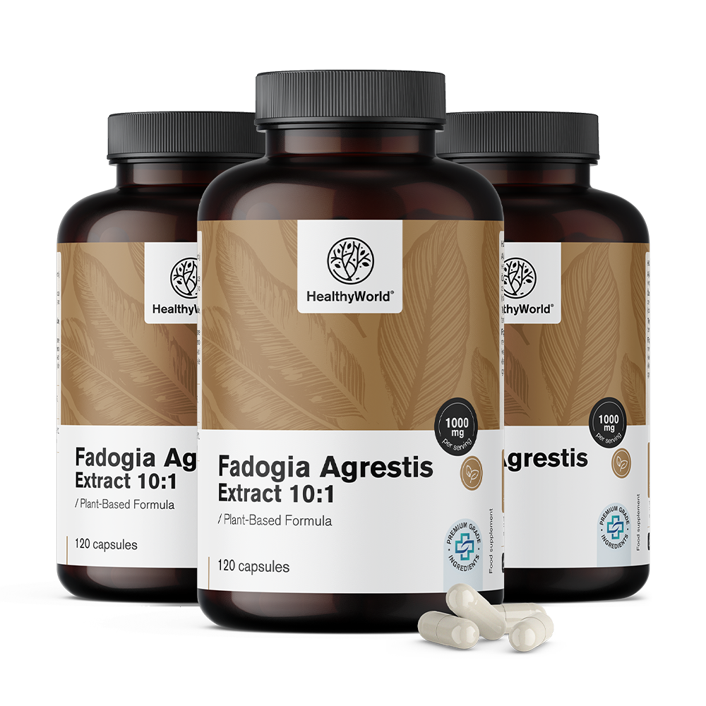 Fadogia Agrestis 1000 mg en capsules.