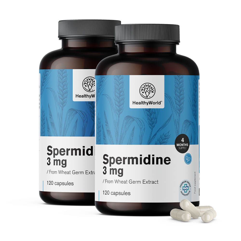 Spermidine 3 mg - de l'extrait de germes de blé.