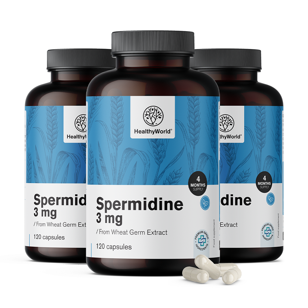 Spermidine 3 mg - de l'extrait de germes de blé.