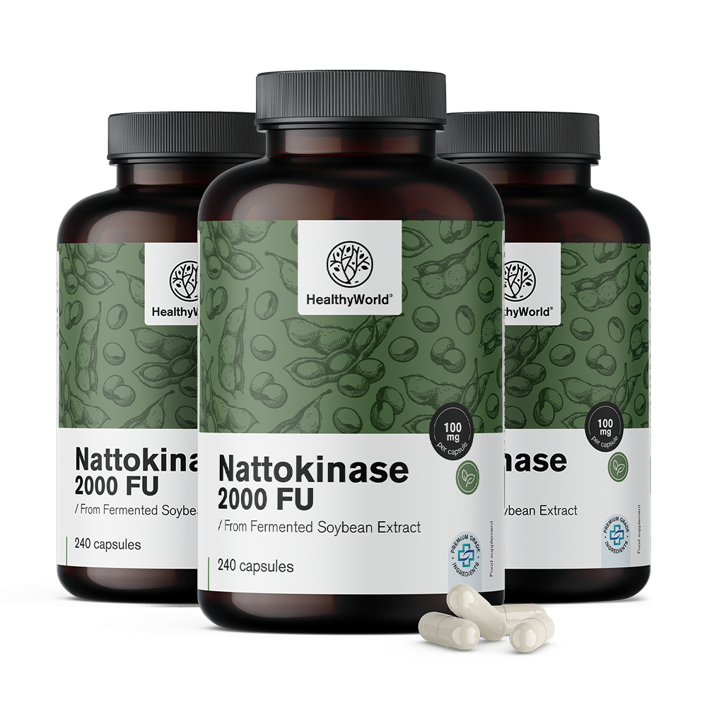 Nattokinase 2000 FUNattokinase 2000 FU