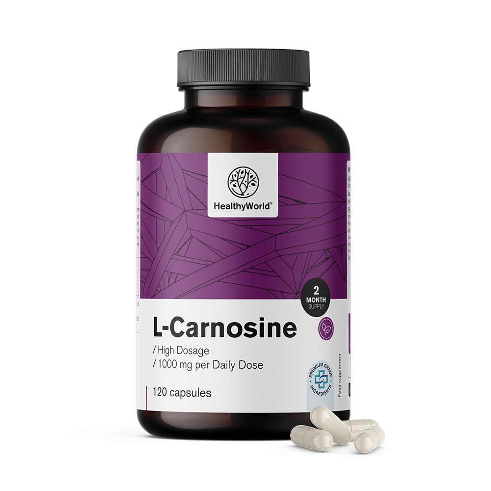 L-carnosine 1000 mg.